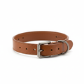 Stylisches Lederhalsband für Hunde